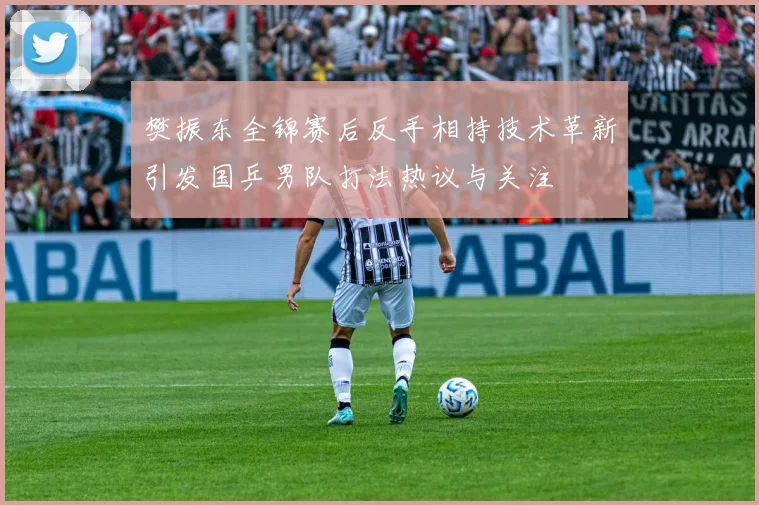 樊振东全锦赛后反手相持技术革新引发国乒男队打法热议与关注